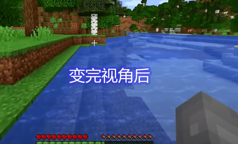 我的世界手机版视野调成正常是多少