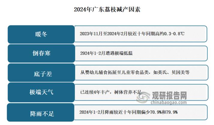 十亩荔枝一般一年收入多少图标