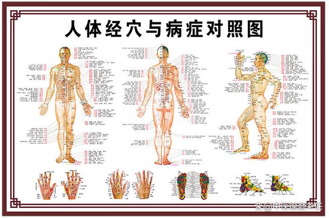 奇经八脉的走势图径缩略图