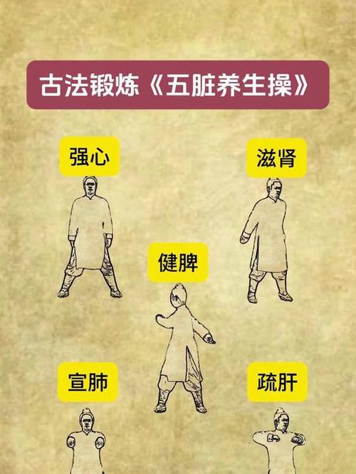 古法养生运动