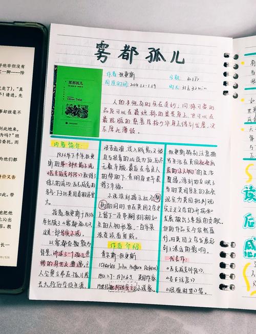 雾都孤儿一共有多少字缩略图