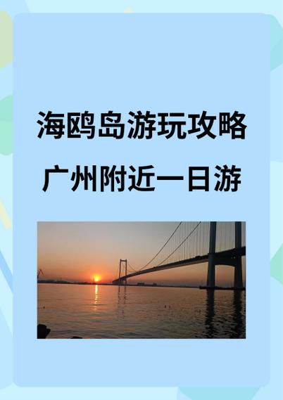 广州哪里可以看海鸥