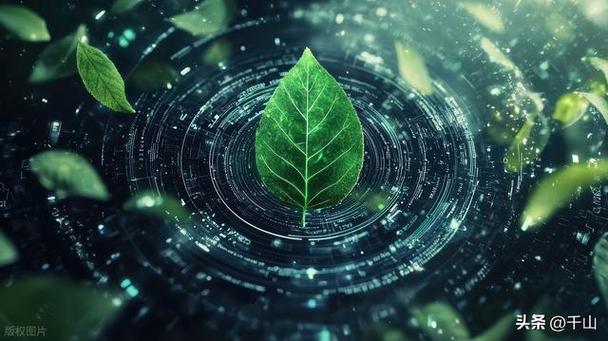 支付宝70g能量是干了什么缩略图