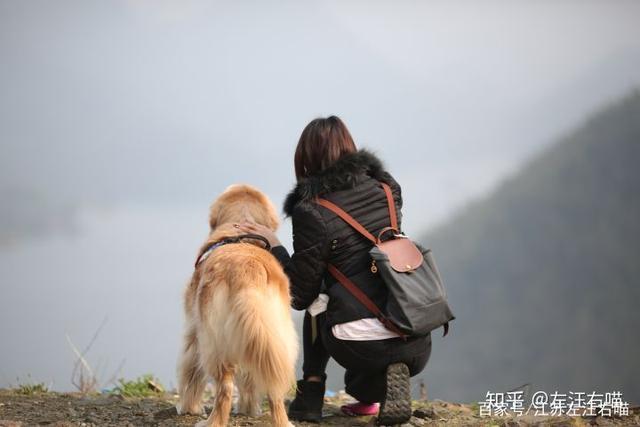 牵着狗狗去旅行如何加好友