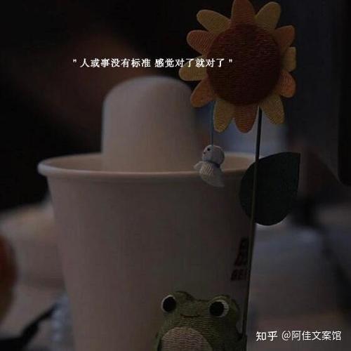 宝藏文案