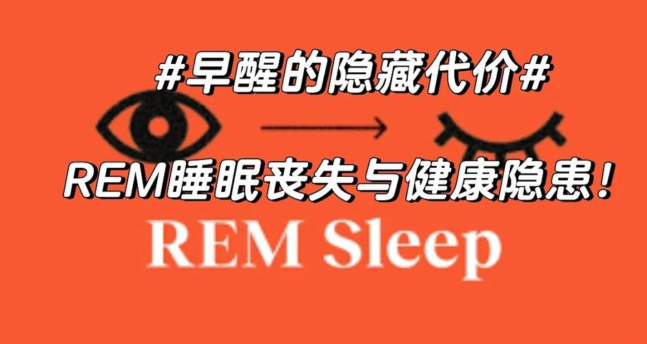 rem睡眠低于15%游戏截图