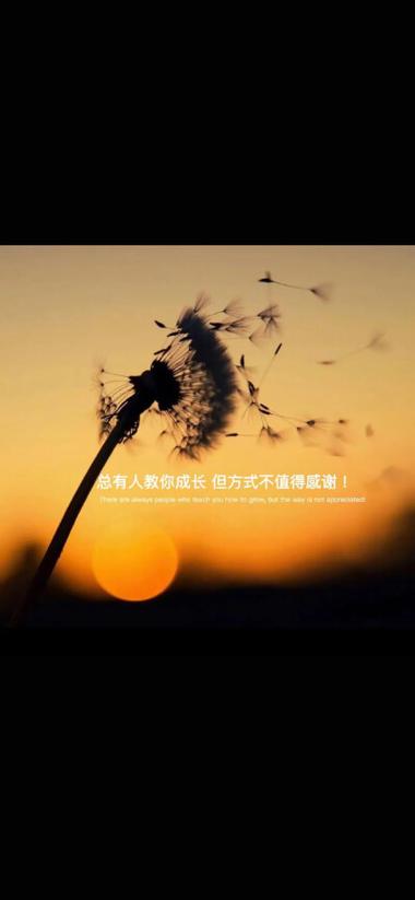 适合自己开心的句子