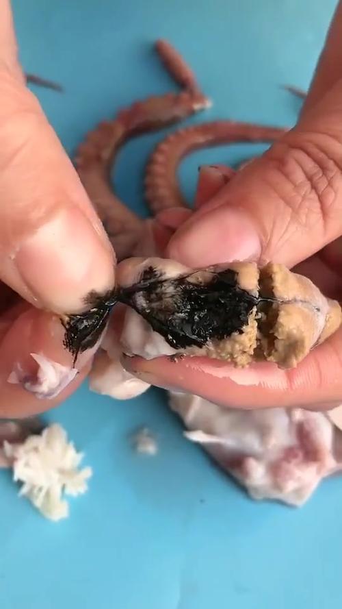 八爪鱼内脏黄可以吃吗
