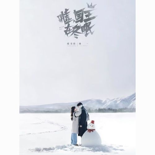 果宝特攻5季全集完整版