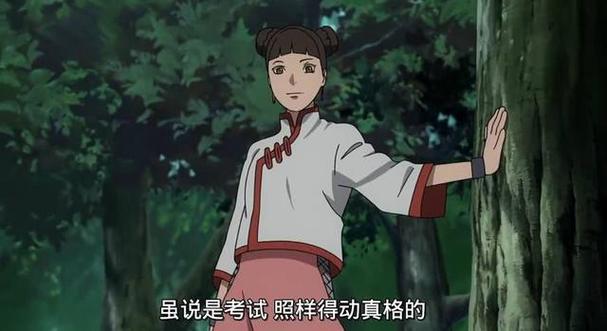 火影忍者博人传天天