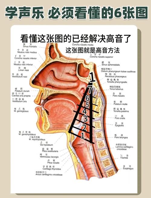 电脑显示总线上的音频设备
