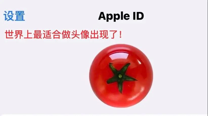 苹果id头像怎么设置回原来的头像