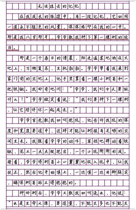 450字作文