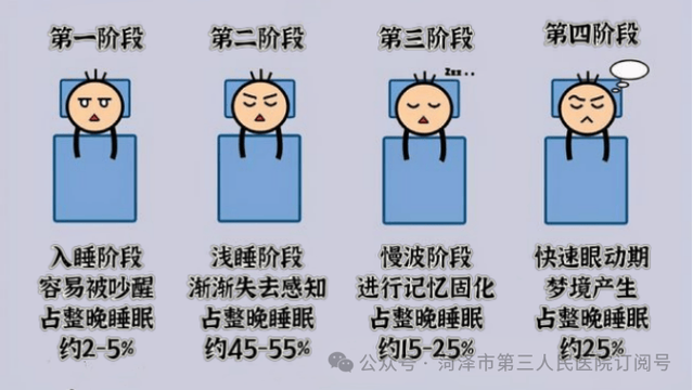 深睡眠少是什么原因引起