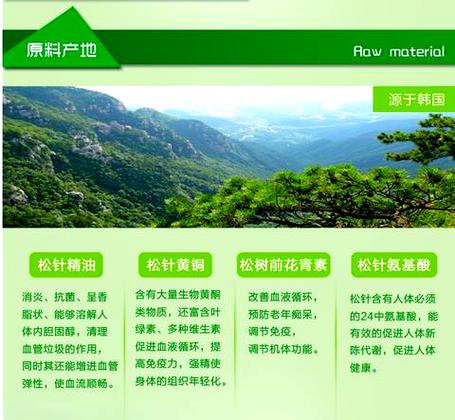 松针主治功能