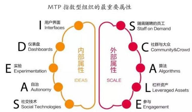 mtp的含义