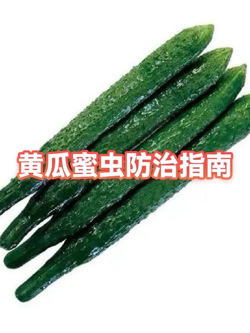 怎么去除植物上的密虫