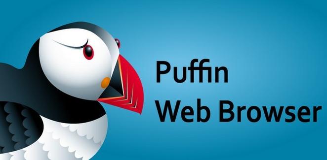 puffin海鹦浏览器