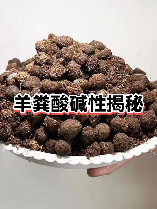 拉羊驼屎是怎么了