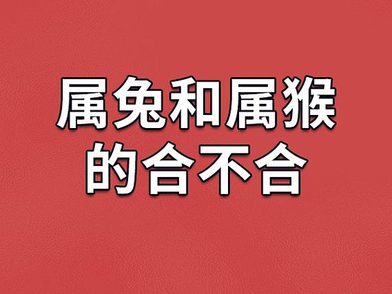 75兔和80猴能过到老吗
