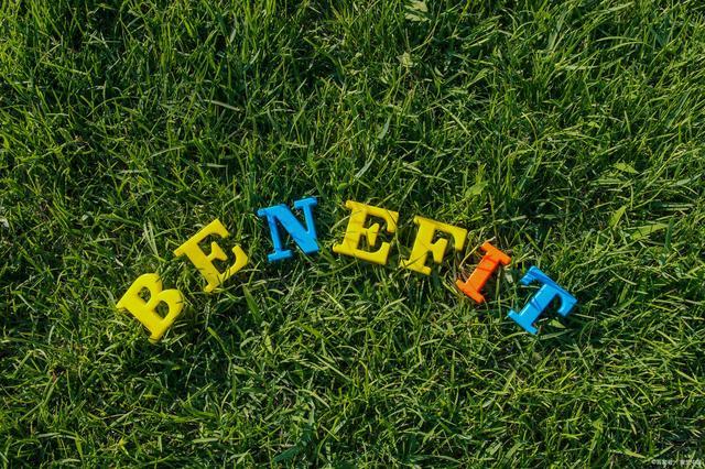 benefit的固定搭配截图