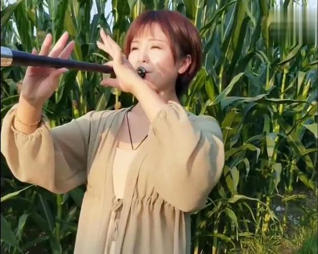 唢呐吹奏九九歌曲视频