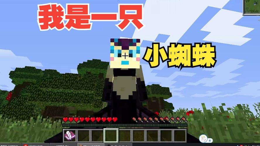 mc大白我是一只小蜘蛛3