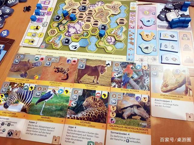 bgg桌游官网中文