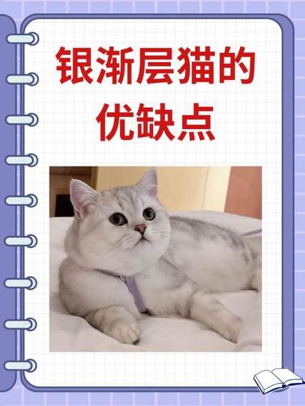 渐层猫优缺点