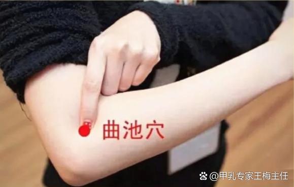 倪海厦麦芽糖功效