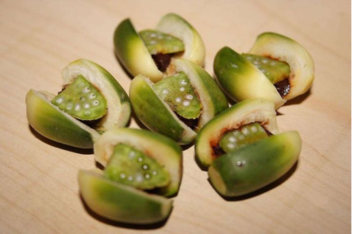 小小青果下载安装缩略图