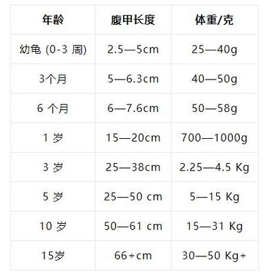 乌龟年龄对照表缩略图