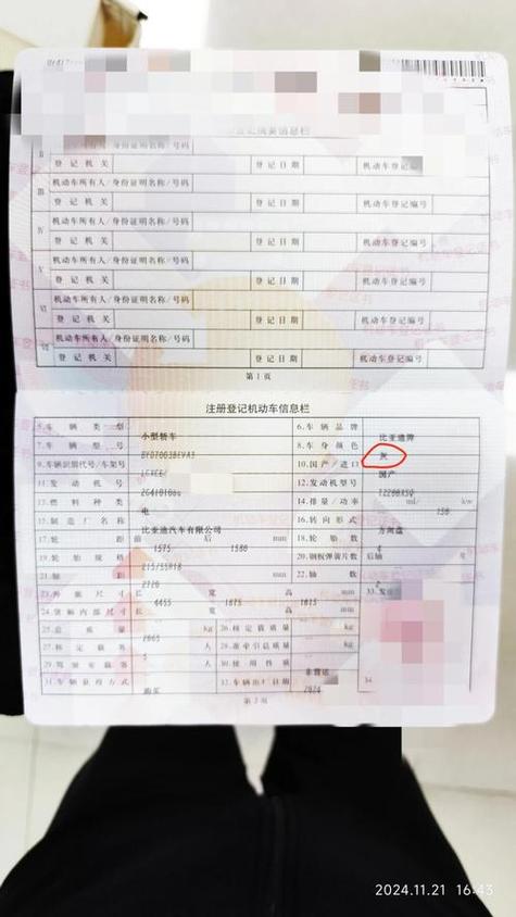 绿本状态能网上查询吗