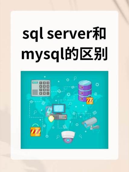 sql和mysql先学哪一个