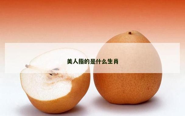 美人指哪个生肖