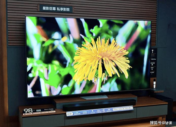 三星电视能唱歌吗