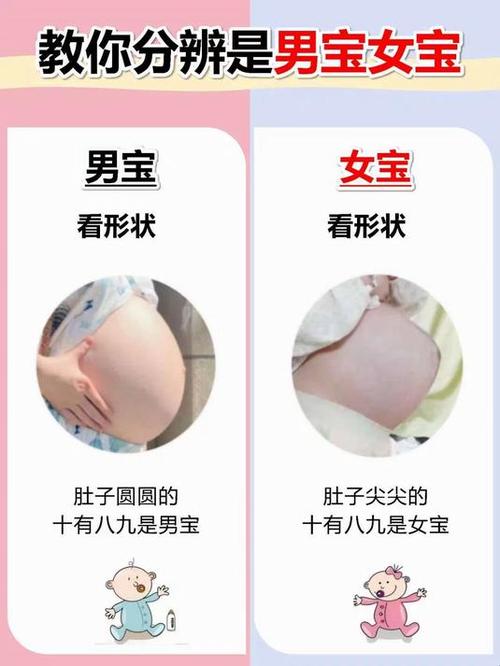 怀女宝胖的多还是怀男宝胖的多