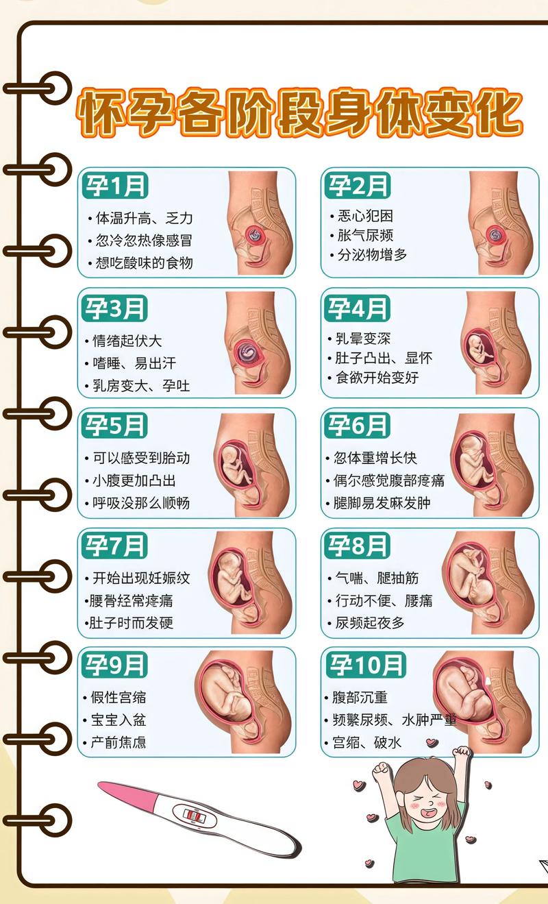 孕肚能不能直接晒太阳