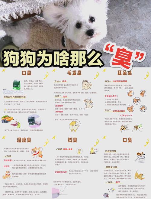 狗洗澡了还是很臭为什么