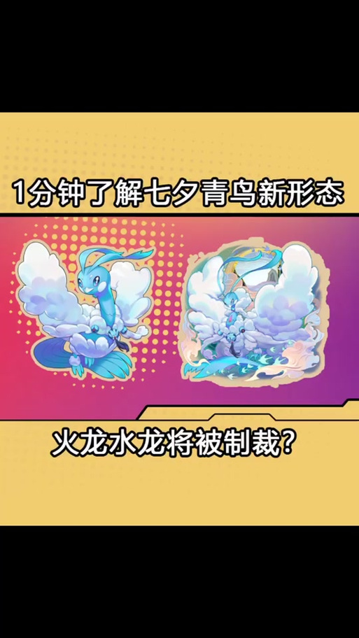 七夕青鸟值得培养吗