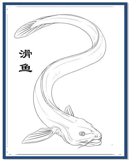 滑鱼是什么鱼