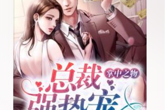 掌中之物无删减小说百度网盘