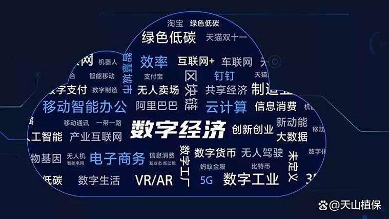 数字经济最吃香的三个专业