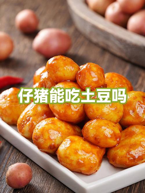 养猪户有喂土豆的吗