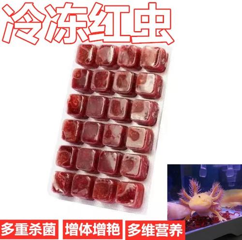 金鱼冻红虫一周喂几次