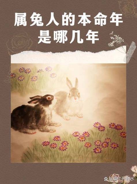 属兔人翻身之年是哪一年