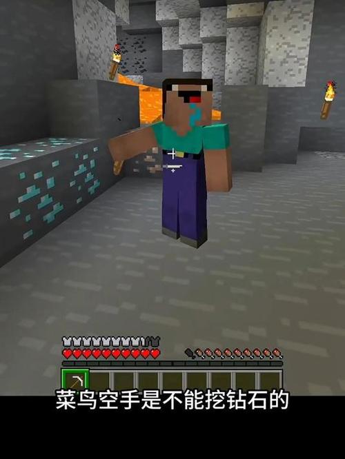 我的世界中的菜鸟