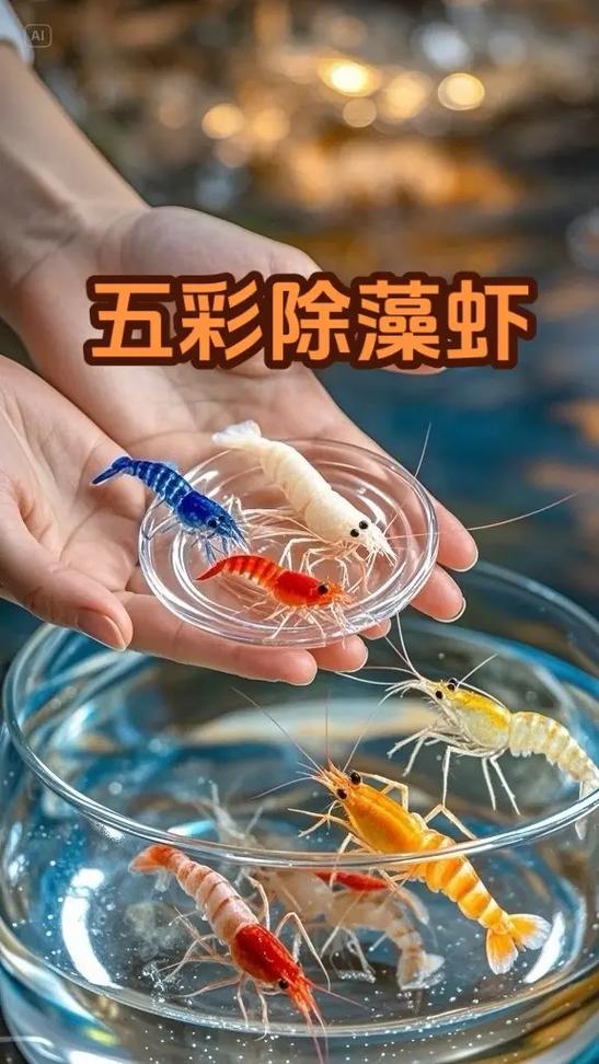 鱼缸为什么要爆藻又要除藻