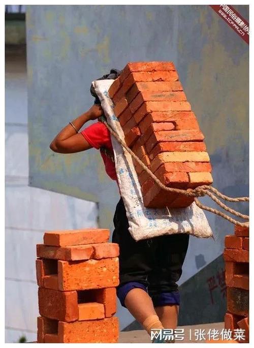 干苦力图片搬砖