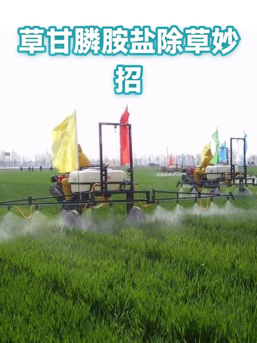 盐除草最狠的三个方法